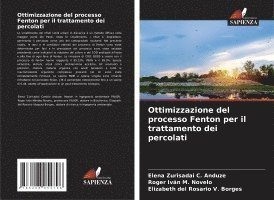 bokomslag Ottimizzazione del processo Fenton per il trattamento dei percolati