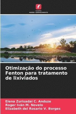 bokomslag Otimização do processo Fenton para tratamento de lixiviados