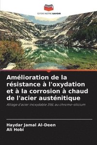 bokomslag Amélioration de la résistance à l'oxydation et à la corrosion à chaud de l'acier austénitique