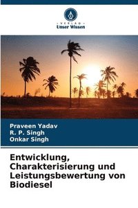 bokomslag Entwicklung, Charakterisierung und Leistungsbewertung von Biodiesel