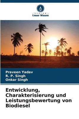 Entwicklung, Charakterisierung und Leistungsbewertung von Biodiesel