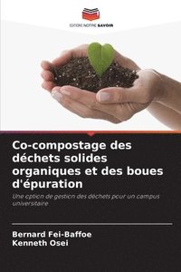 bokomslag Co-compostage des déchets solides organiques et des boues d'épuration