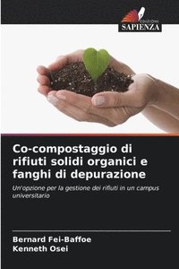 bokomslag Co-compostaggio di rifiuti solidi organici e fanghi di depurazione