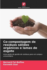 bokomslag Co-compostagem de resíduos sólidos orgânicos e lamas de esgoto