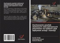 bokomslag Zachowanie powlok stalowych natryskiwanych plazmowo na kotlach pod wplywem erozji i korozji