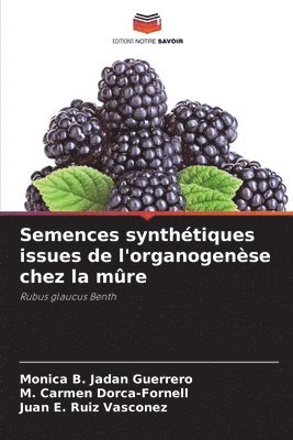 Monica B. Jadan Guerrero, M. Carmen Dorca-Fornell, Juan E. Ruiz Vasconez - Semences synthétiques issues de l'organogenèse chez la mûre, Häftad