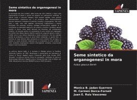 Monica B. Jadan Guerrero, M. Carmen Dorca-Fornell, Juan E. Ruiz Vasconez - Seme sintetico da organogenesi in mora, Häftad