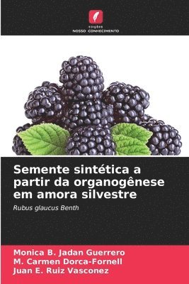bokomslag Semente sintética a partir da organogênese em amora silvestre
