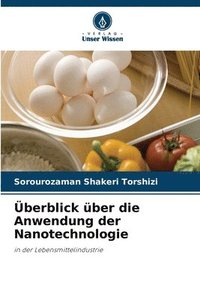 bokomslag Überblick über die Anwendung der Nanotechnologie