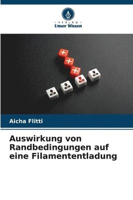 Aicha Flitti - Auswirkung von Randbedingungen auf eine Filamententladung, Häftad