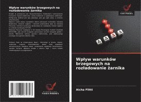 bokomslag Wplyw warunków brzegowych na rozladowanie ?arnika