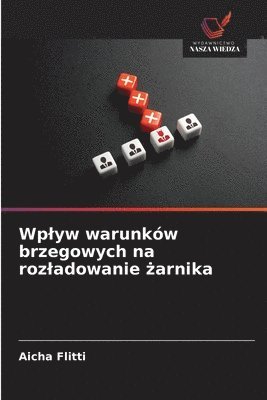 Aicha Flitti - Wplyw warunków brzegowych na rozladowanie żarnika, Häftad