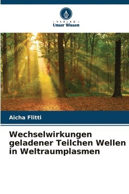 Aicha Flitti - Wechselwirkungen geladener Teilchen Wellen in Weltraumplasmen, Häftad