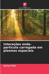 bokomslag Interações onda-partícula carregada em plasmas espaciais
