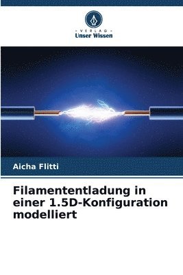 Aicha Flitti - Filamententladung in einer 1.5D-Konfiguration modelliert, Häftad