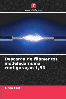 bokomslag Descarga de filamentos modelada numa configuração 1,5D