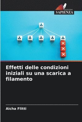 bokomslag Effetti delle condizioni iniziali su una scarica a filamento