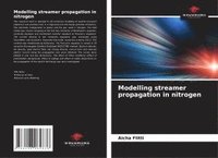 bokomslag Modelling streamer propagation in nitrogen