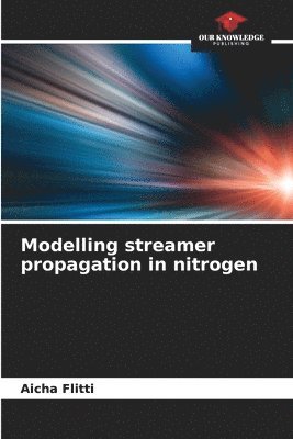 Aicha Flitti - Modelling streamer propagation in nitrogen, Häftad