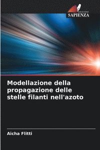 bokomslag Modellazione della propagazione delle stelle filanti nell'azoto