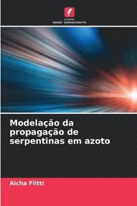 bokomslag Modelação da propagação de serpentinas em azoto