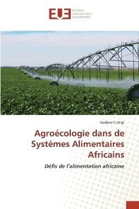 bokomslag Agroécologie dans de Systèmes Alimentaires Africains