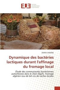 bokomslag Dynamique des bactéries lactiques durant l'affinage du fromage local