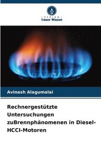bokomslag Rechnergestützte Untersuchungen zuBrennphänomenen in Diesel-HCCI-Motoren