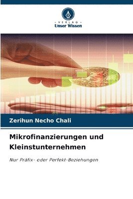 bokomslag Mikrofinanzierungen und Kleinstunternehmen