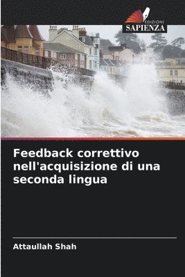 bokomslag Feedback correttivo nell'acquisizione di una seconda lingua
