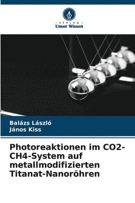 bokomslag Photoreaktionen im CO2-CH4-System auf metallmodifizierten Titanat-Nanoröhren