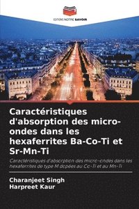 bokomslag Caractéristiques d'absorption des micro-ondes dans les hexaferrites Ba-Co-Ti et Sr-Mn-Ti