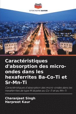 Charanjeet Singh, Harpreet Kaur - Caractéristiques d'absorption des micro-ondes dans les hexaferrites Ba-Co-Ti et Sr-Mn-Ti, Häftad