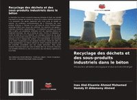 bokomslag Recyclage des déchets et des sous-produits industriels dans le béton