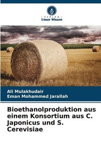 bokomslag Bioethanolproduktion aus einem Konsortium aus C. Japonicus und S. Cerevisiae