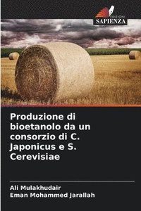 bokomslag Produzione di bioetanolo da un consorzio di C. Japonicus e S. Cerevisiae