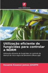 bokomslag Utilização eficiente de fungicidas para controlar a NORM