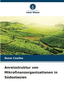 bokomslag Anreizstruktur von Mikrofinanzorganisationen in Südostasien