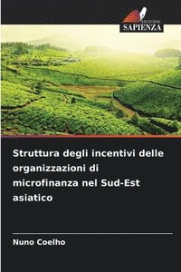 bokomslag Struttura degli incentivi delle organizzazioni di microfinanza nel Sud-Est asiatico