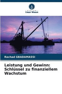 bokomslag Leistung und Gewinn: Schlüssel zu finanziellem Wachstum