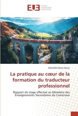 bokomslag pratique au coeur de la formation du traducteur professionnel