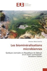 bokomslag Les biominéralisations microbiennes