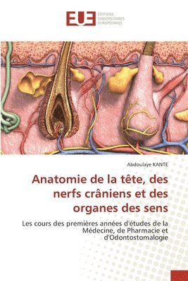 bokomslag Anatomie de la tête, des nerfs crâniens et des organes des sens