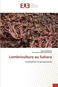 bokomslag Lombriculture au Sahara