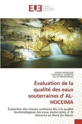 Fatiha McHiouer, Hossain El Ouarghi, Ali Ait Boughrous, FATIHA MCHIOUER, Fatiha Mchiouer - Évaluation de la qualité des eaux souterraines d' AL-HOCEIMA, Häftad
