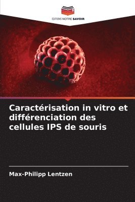 bokomslag Caractérisation in vitro et différenciation des cellules IPS de souris