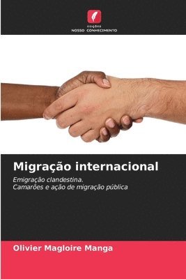 bokomslag Migração internacional