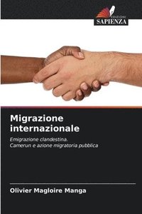 bokomslag Migrazione internazionale