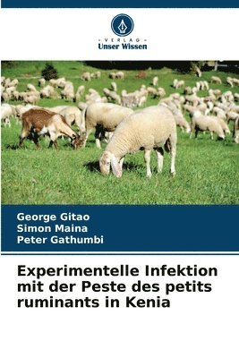 bokomslag Experimentelle Infektion mit der Peste des petits ruminants in Kenia