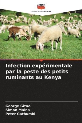 bokomslag Infection expérimentale par la peste des petits ruminants au Kenya